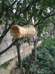 <span class=keywords><strong>Bamboo</strong></span> <span class=keywords><strong>Bird</strong></span> Ninho e Casa - Product Image 3
