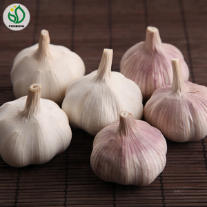 Cung Cấp Tỏi Trung Quốc Trong <span class=keywords><strong>Container</strong></span> Cá Hồi 40ft - Product Image 2