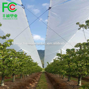 Feuille de plastique d'épaisseur 0,15 mm, couverture de serre, <span class=keywords><strong>film</strong></span> PE transparent - Product Image 4