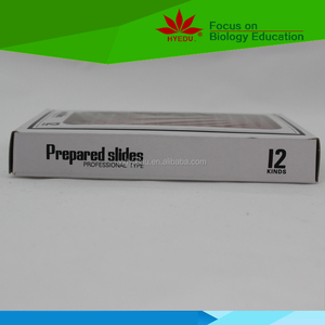 ชุดตัวอย่างแมลงสไลด์12ชิ้น,สไลด์พลาสติกเตรียมไว้สำหรับเป็นของขวัญเด็กอนุบาล - Product Image 4