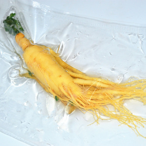 जिनसेंग - Product Image 2