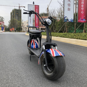 สกู๊ตเตอร์ไฟฟ้า 2019 COC / EEC 1500W L1e-<span class=keywords><strong>B</strong></span> ระยะทางสูงสุด 45 / 25 กม. - Product Image 2