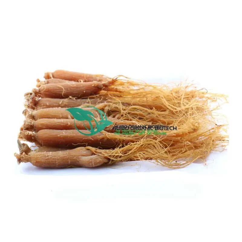 Korean red ginseng / fermented red ginseng whole root slices powder extract