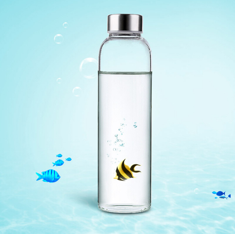 550ml Eco-friendly Borosilicate Glass Water Bottle,Leak-proof Stainless Steel Cap with Nylon Sleeve