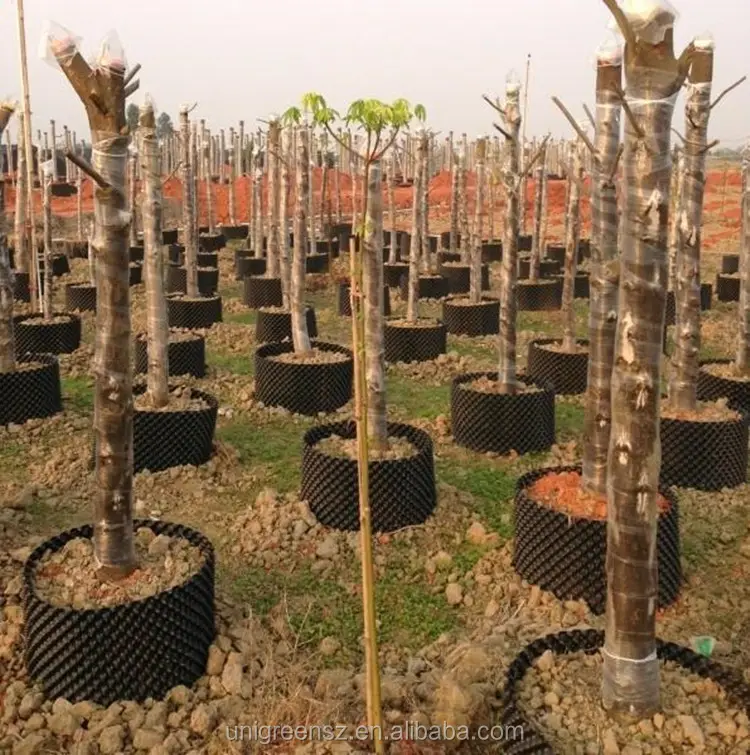Vaso economico del contenitore di crescita della radice della pianta della potatura dell'aria dell'albero