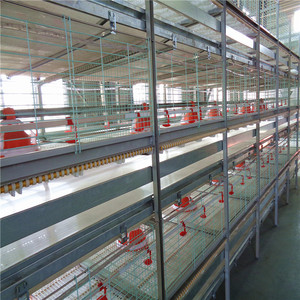 Granja avícola automática Uganda granja de ponedoras jaula de pollo a <span class=keywords><strong>la</strong></span> venta - Product Image 4