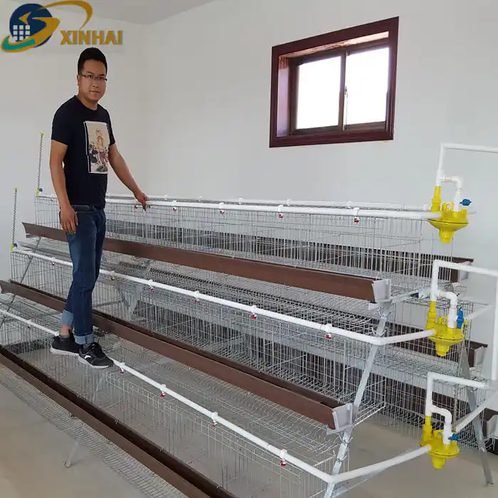 A 96 3 Tire Layer Chicken Cage FarmsためPhilippines Market 3 Months Provided Bearing Low Noise Level GEAR New Product 2020 PLC