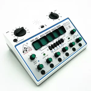 Hoge hoeveelheid Chinese Professionele Acupunctuurpunt Stimulator KWD-808I