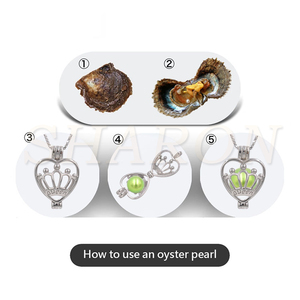 Regalo Sorpresa <span class=keywords><strong>de</strong></span> Navidad, <span class=keywords><strong>Ostra</strong></span> <span class=keywords><strong>de</strong></span> <span class=keywords><strong>Perla</strong></span> Akoya Redonda <span class=keywords><strong>de</strong></span> Agua Salada <span class=keywords><strong>de</strong></span> 7-8 mm, Colores Arcoíris, Envasada al Vacío - Product Image 6