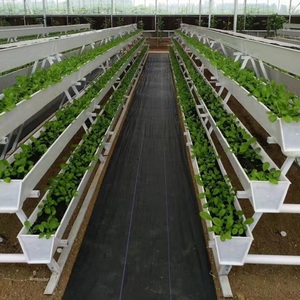 Büyük sera ve ticari Hydroponic <span class=keywords><strong>NFT</strong></span> Gully büyüyen sistemler