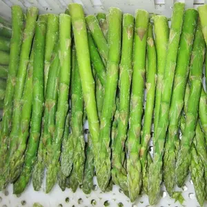 Bulk Gute Qualität IQF Gemüse Spargel und gefrorener IQF Frühlings Spargel