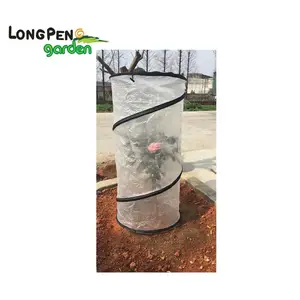 Protetor de planta de tomate pop-up, serve como mini estufa de jardim para acelerar o crescimento, saco de jardim pop up, sacos para crescimento 10pcs,etc.