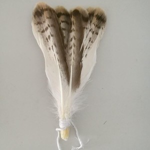 Bán Hot Big Rare <span class=keywords><strong>Eagle</strong></span> Tail Feather Cho Trang Phục Và Mũ Nón - Product Image 5