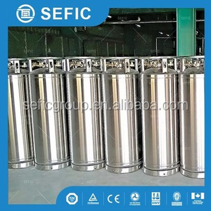 Tanque de Almacenamiento de Oxígeno Líquido, Nitrógeno, Argón y CO2, Dewar con Cilindro de Gas Líquido Criogénico a Bajo Precio - Product Image 4