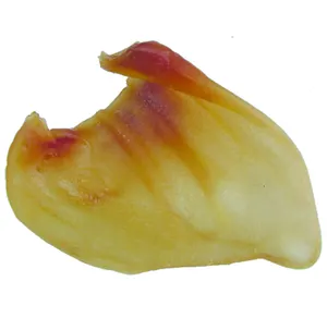 Pig Ears Dry Dog Treats Pet Snacks And Food