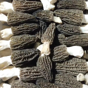 Ecodéan — champignons momoda, 1 pièce, vente en gros, pendants chinois - Product Image 1