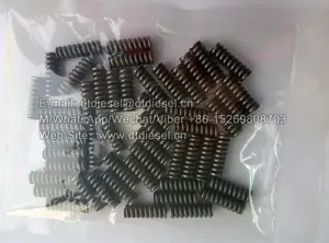 สปริงสำหรับหัวฉีดน้ำมันเชื้อเพลิง 2434614040 - Product Image 1