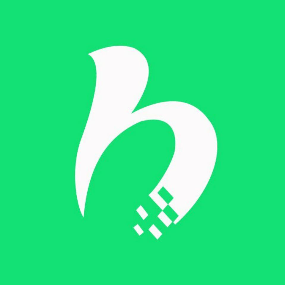 CHANGXING BAIHONG NONWOVEN FABRIC INC.,LTD. logo