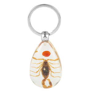 New Arrival Bất Cua/Côn Trùng/Bọ Cạp Hình Bầu Dục Nhựa Trong Suốt Khuyến Mãi Côn Trùng Hổ Phách Móc Chìa Khóa - Product Image 4