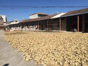 Giardino nido di uccello casa