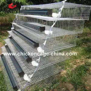 Full Automatic Quail Cage,Egg Quail Cage,Pyramid Quail Cage For Quail Farm