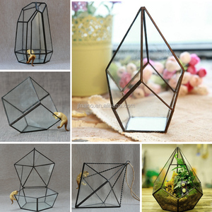 Serre de culture en verre Micro-paysage, <span class=keywords><strong>terrarium</strong></span> géométrique clair, pour plante - Product Image 6