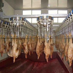 Hühner füße Reinigungs maschine Geflügel Ente Fuß Verbrühungs schälmaschine im Schlachthof verwenden - Product Image 3