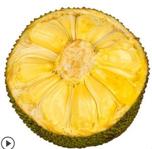 เนื้อขนุนอบแห้งแบบออร์แกนิก เนื้อขนุนแช่แข็งสำหรับทำขนม - Product Image 5