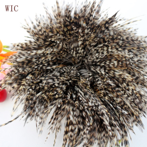 2018 giá rẻ Trung Quốc bán buôn quần áo con gà trống lông đẹp trai chùm lông - Product Image 4