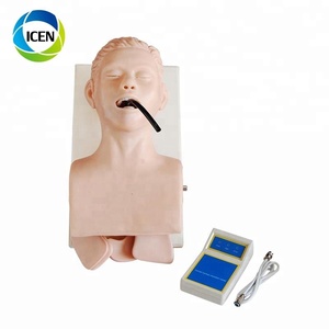 Modèle de formation médicale avancé, 3 en 406, modèle de simulation de vapotage, chemin masculin, tpr, mannequin - Product Image 3