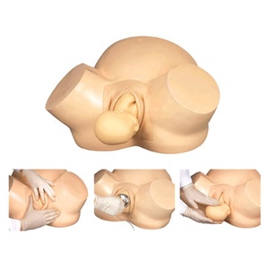 Modello Didattico di Parto, Modello Umano per l'Insegnamento della Distocia, Modello di Ostetricia per il Parto - Product Image 2
