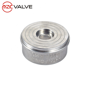 Van Kiểm Tra <span class=keywords><strong>Swing</strong></span> Không Quay Trở Lại Bằng Thép Không Gỉ 200WOG - Product Image 5