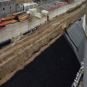 <span class=keywords><strong>Geocell</strong></span> sỏi lưới <span class=keywords><strong>hdpe</strong></span> - Product Image 3