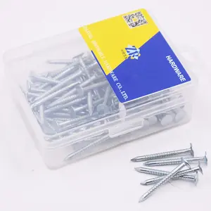 Plastic box packing for DIY shop spike big flat head zinc galvanized surface iron threaded nail