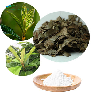 % 100% doğal ürün yenidünya yaprağı ekstresi, <span class=keywords><strong>Folium</strong></span> <span class=keywords><strong>Eriobotryae</strong></span> özü, 98% Ursolic asit - Product Image 5