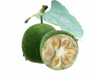 Muestra libre <span class=keywords><strong>precio</strong></span> de fábrica extracto de fruta monje 40% mogrosides V, Monk fruta <span class=keywords><strong>azúcar</strong></span>, Luo Han Guo - Product Image 3