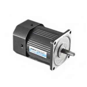 110V 220v 40W Single Phase Ac Induction Electric Geared Motor
