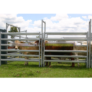 Ovini/bovini/bufala/Bull/bovini/vacca/<span class=keywords><strong>paddock</strong></span> recinzione/fattoria cancelli - Product Image 1