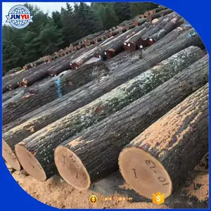 Quercia quercia rossa legname legname prezzo in vendita quercia rossa legname per la vendita