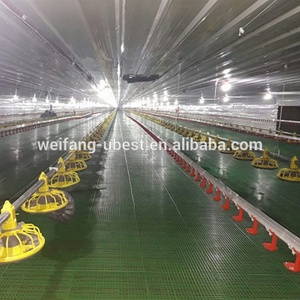 Kippenboerderij Staalconstructie Prijs Twee Verdiepingen Voor Kippenhok Pluimveebedrijf - Product Image 4