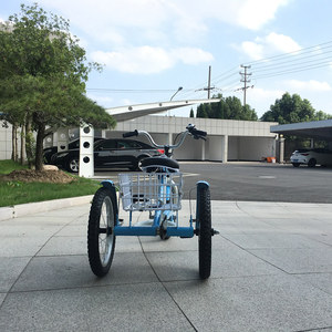 Cargo Tricycle / <strong>Trike</strong> / Bike / Bicycle for Child GW 7013 Double Eleven Hot Sale 3 Wheel 12 Inch Steel <strong>Foldable</strong> Shopping CE Sand - Product Image 3
