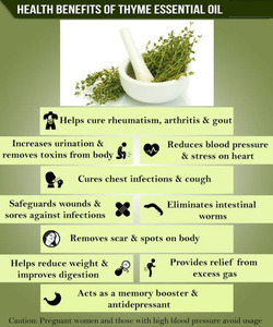 Precio a granel 100% pure natural Aromtherapy esencial tomillo Aceite de Masaje aroma - Product Image 5