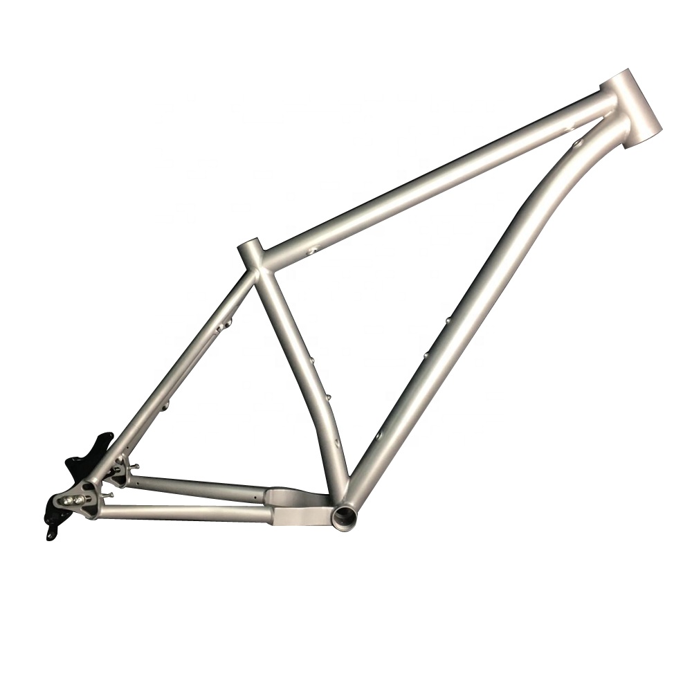 Titanium bicycle 29" moutain bike cycling frame for carbon belt drive