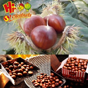 New Crop Fresh <strong>Chestnuts</strong>--Dandong <strong>Chestnuts</strong> in Big Size - Product Image 6