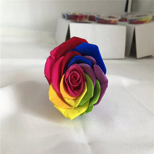 Rosas arcoíris de 5-6cm, frescas y estabilizadas, auténticas y reales