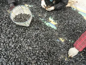 Alta calidad natural negro piedra adoquines para la venta