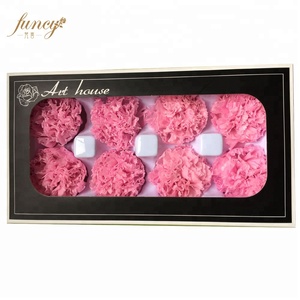 FuncyFlora All'ingrosso <span class=keywords><strong>Art</strong></span> <span class=keywords><strong>House</strong></span> Marca Conservato Reale Naturale Del Fiore Del Garofano - Product Image 2