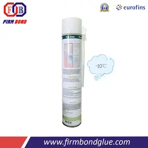 500 Ml/750 Ml/1500 Ml Frore Khu Vực Độ Ẩm Chữa Bọt Polyurethane