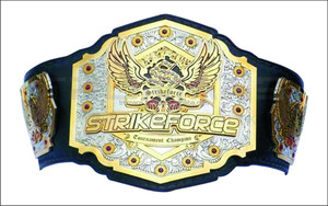 BJJ MMA มวยไทยแชมเปี้ยนไทยเข็มขัดทำขึ้นเองสำหรับนักมวยคาราเต้มวยไทยเตะมวยไทย-สำหรับฟิตเนสคลับ - Product Image 3