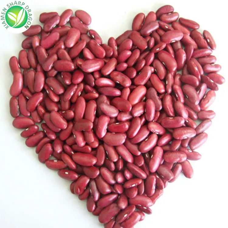 Wholesale Dried Small Dark Red Kidney Beans Price